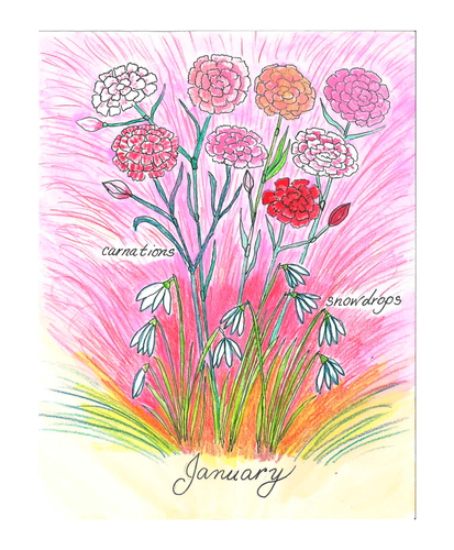 Series A Quarter 1 (13 Weeks)