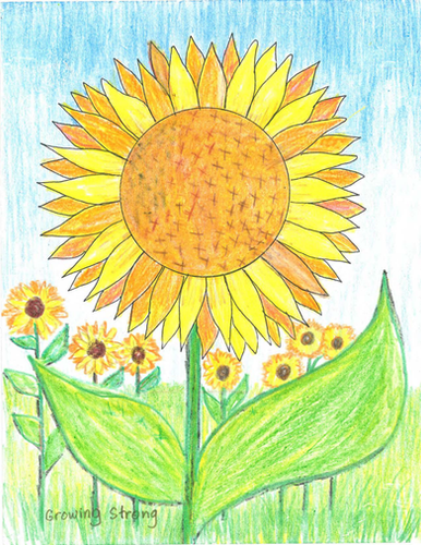 Series B, Quarter 2 (13 Weeks)