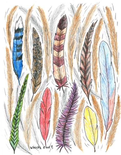 Series D Third Quarter (13 Weeks)